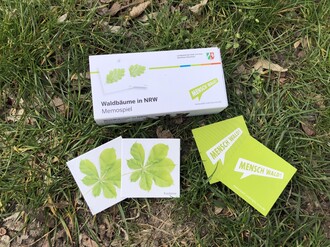 Zu Gewinnen gibt es eins von 10 Waldmemory-Spielen