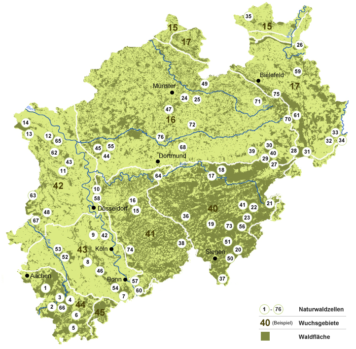 naturwaldzellen