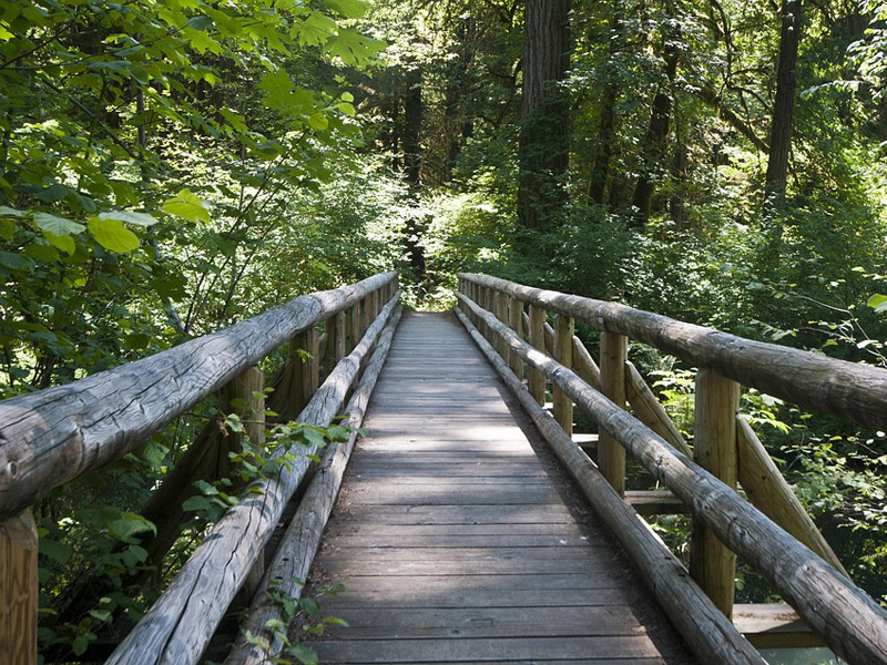 Brücke