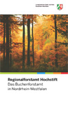Titelbild, Buchenwald im Herbst