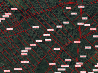 rot markierte Flächen, die die Besitzersplitterung anzeigen sollen