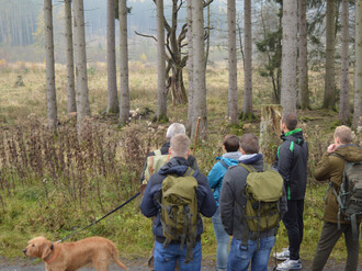 Gruppe von Teilnehmern auf einem Weg am Waldesrand
