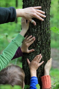 Waldpädagogische Spiele regen alle Sinne an. (Quelle: Wald und Holz NRW, Ulrich Haufe)