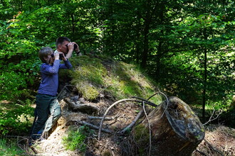 Videodreh zur Pilotfolge „Wohnungen im Wald" (Bildautor: Jan Preller, Wald und Holz NRW)