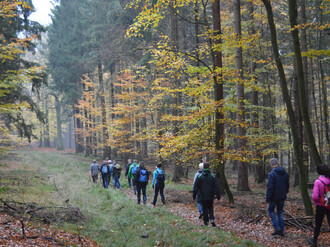 Gruppe von Menschen wandert über Waldweg