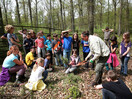 Gruppe beim Baumpflanzen