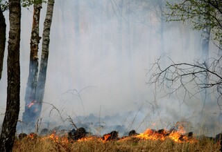 Ministerien warnen vor erhöhter Waldbrandgefahr