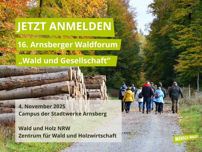 Titelbild des 16. Arnsberger Waldforums "Wald und Gesellschaft" mit der Aufschrift "Jetzt Anmelden"; "04. November 2025"; "Campus der Stadtwerke Arnsberg"