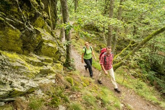 Bild 2: Die Natur in Ruhe genießen. Fernab der Hauptwanderwege finden Natur- und Wanderfreunde wahre Schätze der Natur im Nationalpark Eifel. (Foto: Dominik Ketz)