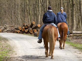 Zwei Reiter auf Waldweg
