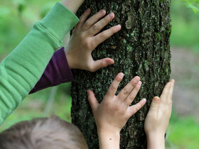 Mehrere Kinderhände ertasten einen Baumstamm