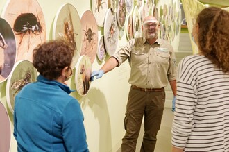 Das Tragen von Einmalhandschuhen minimiert das Infektionsrisiko für Gäste und Personal und ermöglicht die gefahrlose Nutzung der vielen taktilen und interaktiven Elemente in der großen Erlebnisausstellung des Nationalparks Eifel.