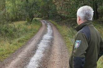 Über 200 Meter erstreckt sich der Ölfilm auf dem Wanderweg Kohlweg. Das Wegematerial musste durch eine Spezialfirma entfernt und entsorgt werden. (Foto: Nationalparkverwaltung Eifel/M. Weisgerber)
