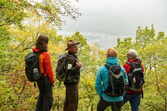 Mit einem Ranger die entstehende Wildnis im Nationalpark Eifel zu entdecken, ist ein besonderes Erlebnis. Aufgrund der Corona-Virus-Pandemie werden jedoch zunächst bis zum 19. April keine Rangertouren mehr stattfinden. (Foto: D. Ketz)