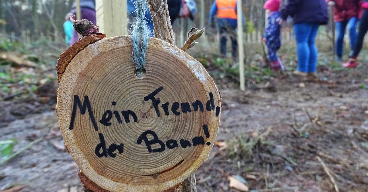 Das Hochstift pflanzt Wald & Holz