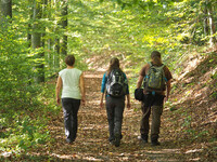 Wanderer im Wald