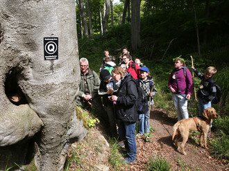 Teilnehmer einer Wanderung im Wald