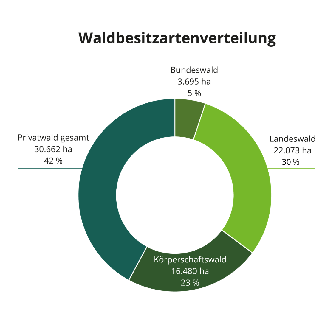 Grafik zeigt Waldbesitzverteilung des Regionalforstamtes Hochstift in Form eines Kreisdiagramms. 